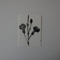 Carnation print