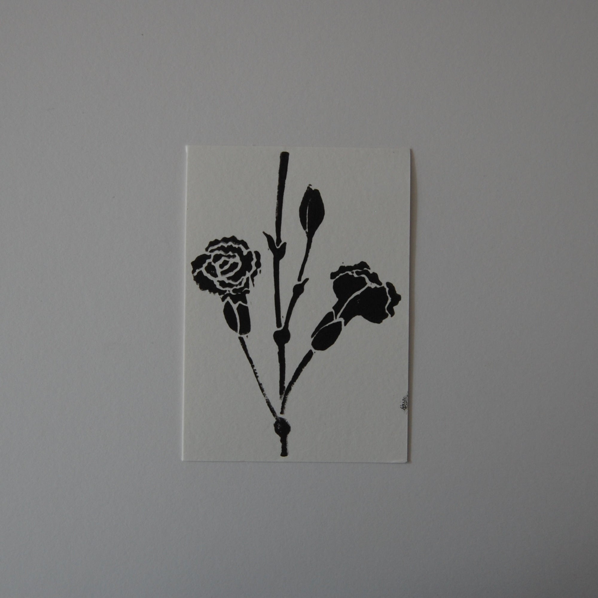Carnation print