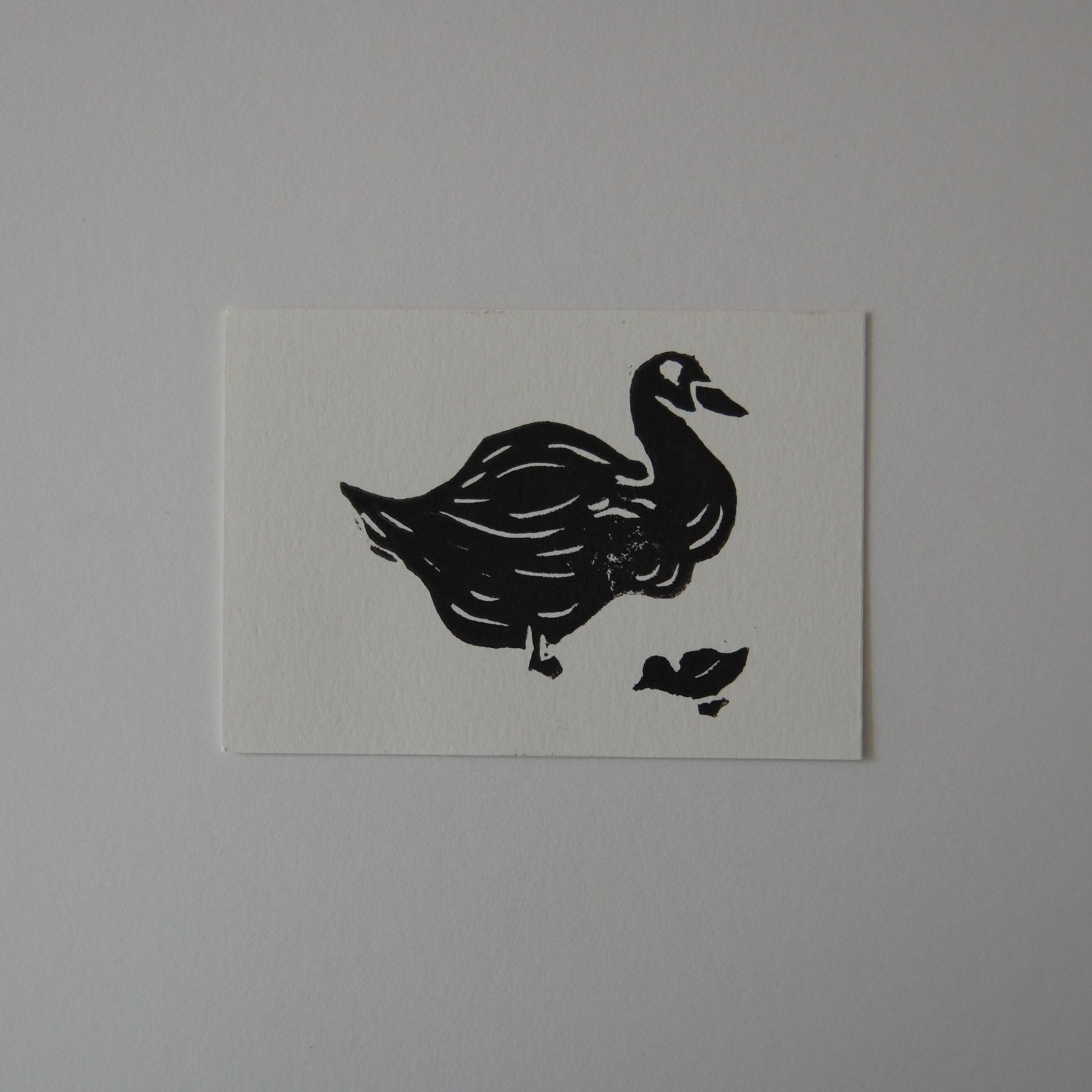 Mother duck print